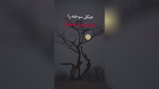 انسان مثل گل هست