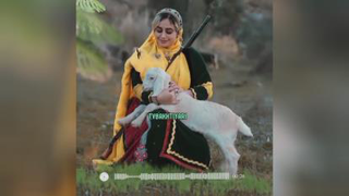 آهنگ شادبختیاری
