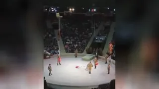 یه حرکت پشم جیزون از بروبچ سیرک! 😳