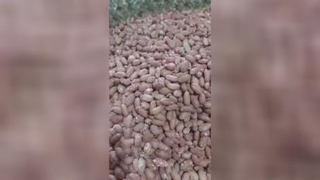 خرید آجیل آنلاین