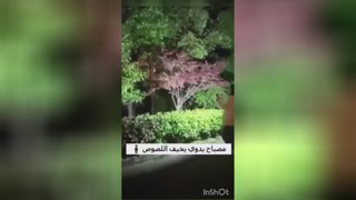 چراغ قوه سه کاره