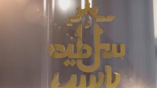 سلاطین پارس