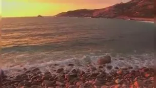 زیبایی ببینیم