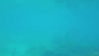 مستر تور