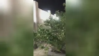 قشم_زیبای_من💛