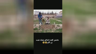 وفاداری