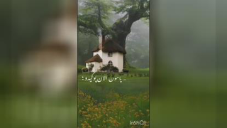 کلیپ نوشته