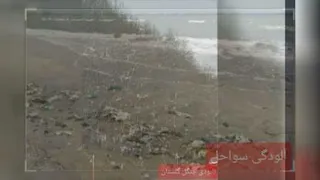 محیط زیست