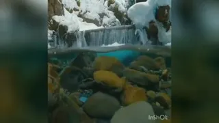 ایمان و باور