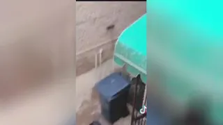 آخی ترسید