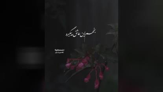 مهدی ساران نمک گیر