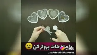 زیبایی