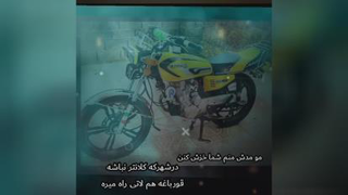 قناری زرد سده