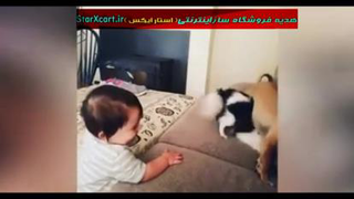 مهرسگ به نوزادانسان