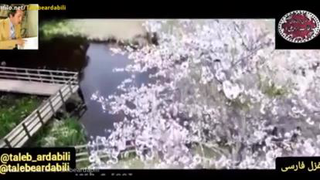دکلمه غزل 24997 طالب اردبیلی