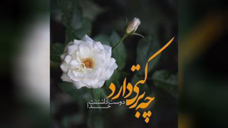 گام سوم ویس چهارم