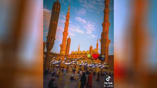 تبلیغ شیخ پردل