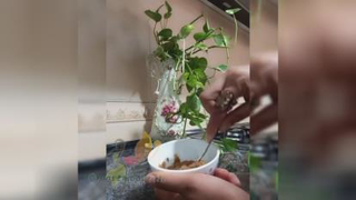 حجیم کردن لب