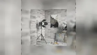 نمایندگی کاشی عقیق در جنوب خراسان رضوی