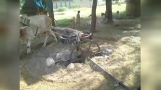 حالِ دلتون خوش
