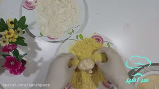 قارچ سوخاری