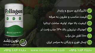 خرید بهترین کود مخصوص زامیفولیا (زاموفیلیا)