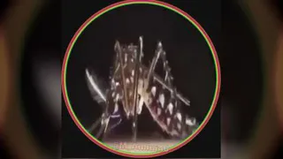 جالب و دیدنی حکمت خدا