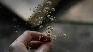 راغب