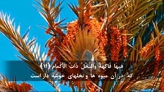 فیلم های مذهبی