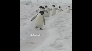 من الکلو جا نگذاشتم من..