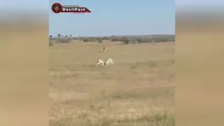 غفلت از موضوع کوچک