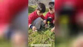 طبیعتگردی