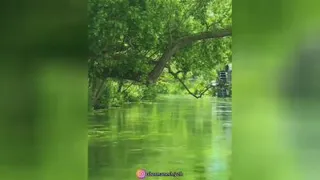 تو خدایی هستی در این کیهان_استادعباسمنش