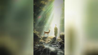 امام رضا