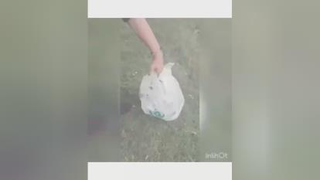 محرم 1401شهرستان ابهر