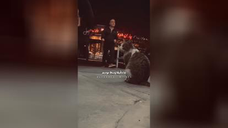 بدون شرح
