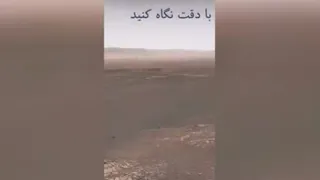 سرگرمی