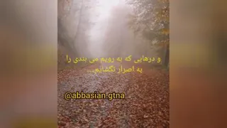 شکر گذاری
