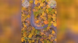 شادونه