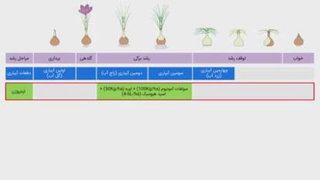 بیا توکانال من پیوند زدن یاد بگیر