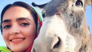 آموزش چوپانی از خردسالی فقط لگد از پشتش😂