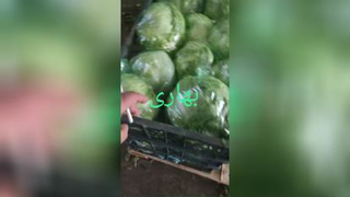 سبز سبز