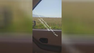 تامین و سورت مرکبات