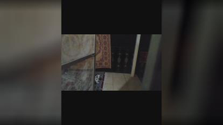 بازی کردن بچه گربه های ناز 🐱