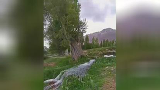موزیک سلام