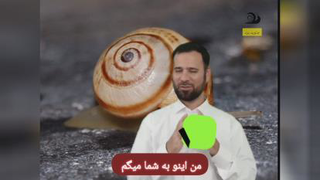 بستر سازی حلزون
