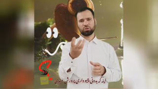 اصول و نکات پرورش حلزون