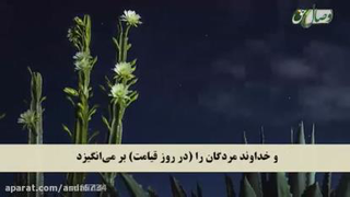 سپاره هفتم قرانکریم