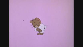 موش و گربه