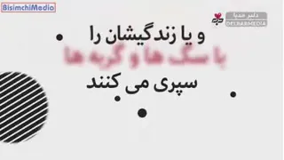 سلبریتی ها